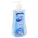Dial Spring Water Antibacterial Hand Soap with Moisturizer