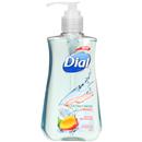 Dial Coconut Water & Mango Hand Soap with Moisturizer