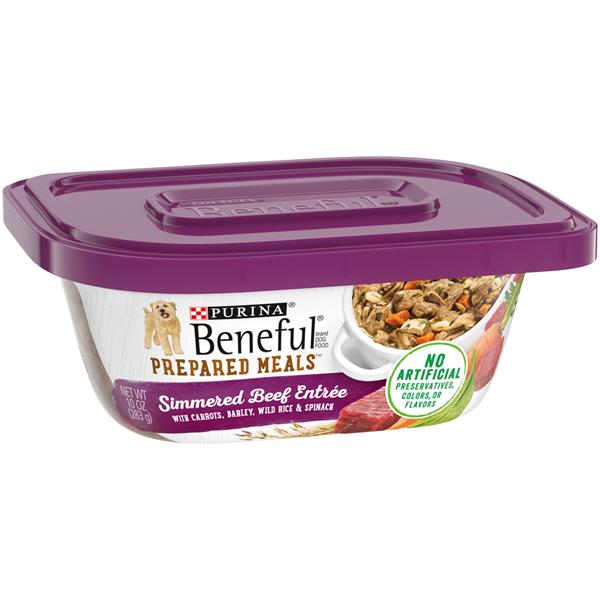 Purina Beneful Gravy Wet Dog Food; Prepared Meals Simmered Beef Entree
