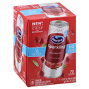 Ocean Spray Sparkling Cranberry Juice Cocktail 4Pk