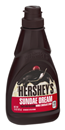Hershey's Sundae Dream Syrup Thick & Delicious Double Chocolate