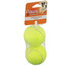 Paws Premium Fetch Balls Dog Toy
