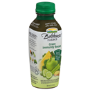 Bolthouse Farms Green Immunity Boost 100% Fruit & Vegetable Juice Smoothie