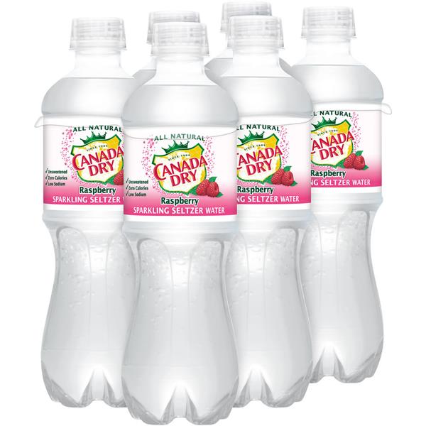 Canada Dry Sparkling Seltzer Water Raspberry 6 Pack | Hy ...