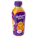 Bolthouse Farms Limited Edition Mangonada with Tajin 100% Juice Smoothie