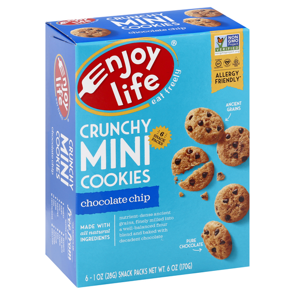 Enjoy Life Crunchy Mini Chocolate Chip Cookies 61 oz. Snack Packs Hy