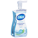 Dial Complete Foaming Antibacterial Spring Water Hand Wash