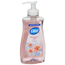 Dial Antibacterial Himalayan Pink Salt & Water Lily Hand Soap with Moisturizer