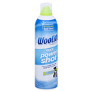 Woolite Carpet Spot & Stain Remover