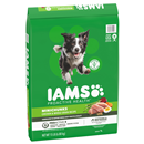 Iams ProActive Health MiniChunks Adult Dog Food