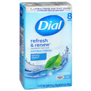 Dial Spring Water Antibacterial Deodorant Soap 8-4 Oz