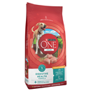 Purina One Smart Blend Digestive Health Formula Dry Dog Food