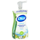Dial Complete Fresh Pear Foaming Antibacterial Hand Wash