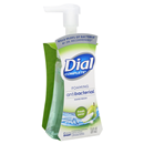 Dial Complete Fresh Pear Foaming Antibacterial Hand Wash