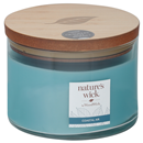 WoodWick Nature's Wick 3 Wick Candle, Coastal Air