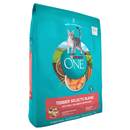 Natural Dry Cat Food, Blend With Real Salmon