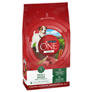 Purina ONE SmartBlend Small Breed Adult Lamb Formula Dog Food
