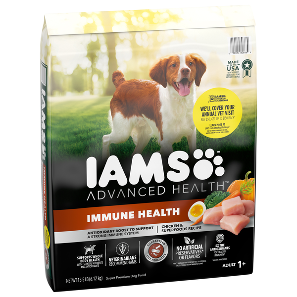 best automatic dog feeder for wet food Polar Smart Wet Food Feeder