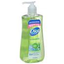 Dial Complete Liquid Hand Soap, Antibacterial, Aloe, Bigger Size
