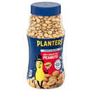 Planters Dry Roasted Lightly Salted Peanuts
