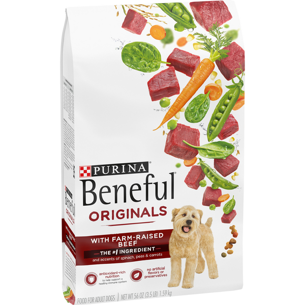 what is a kcal in dog food