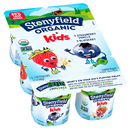 Stonyfield Organic Kids Blueberry & Strawberry Vanilla Lowfat Yogurt Variety Pack 6-4 Oz