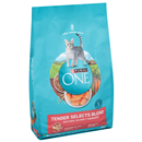 Purina ONE Salmon & Tuna Flavor Cat Food