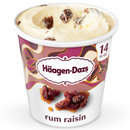 Häagen-Dazs Rum Raisin Ice Cream