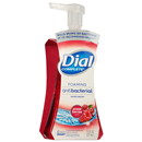 Dial Complete Power Berries Foaming Antibacterial Hand Wash