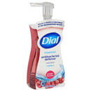 Dial Complete Power Berries Foaming Antibacterial Hand Wash