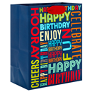 Hallmark Medium Birthday Gift Bag