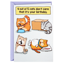 Shoebox Funny Birthday Card (Cats Don'T Care) #19