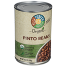 Full Circle Organic Pinto Beans