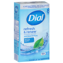 Dial Spring Water Antibacterial Deodorant Soap 8-4 Oz