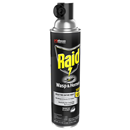 Raid Wasp & Hornet Killer Insecticide