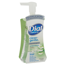 Dial Clean+Gentle Aloe, Antibacterial Foaming Hand Wash