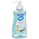 Dial Coconut Water & Mango Hand Soap with Moisturizer