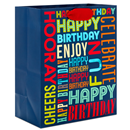 Hallmark Medium Birthday Gift Bag