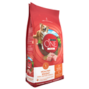 Purina ONE SmartBlend Healthy Weight Formula Adult Premium Dog Food