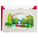Hallmark Signature Peanuts Fathers Day Card (Snoopy And Woodstock Canoeing) #10