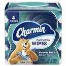 Charmin Flushable Wipes, 4-40Ct Packs
