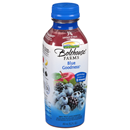 Bolthouse Farms 100% Fruit Smoothie + Boosts Blue Goodness