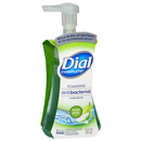 Dial Complete Fresh Pear Foaming Antibacterial Hand Wash