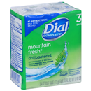 Dial Bar Mountain Fresh Antibacterial Deodorant Soap 3-4 Oz