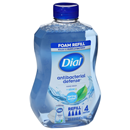 Dial Spring Water Scent Hand Wash + Aloe