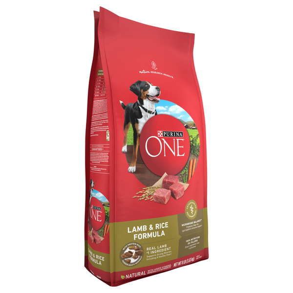 Purina ONE SmartBlend Lamb Rice Formula Adult Premium Dog Food