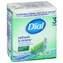 Dial Bar Mountain Fresh Antibacterial Deodorant Soap 3-4 Oz