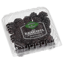 Basket & Bushel Blackberries