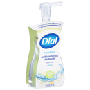 Dial Complete Soothing White Tea Foaming Antibacterial Hand Wash