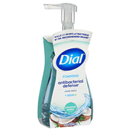 Dial Complete Foaming Coconut Water Antibacterial Hand Wash